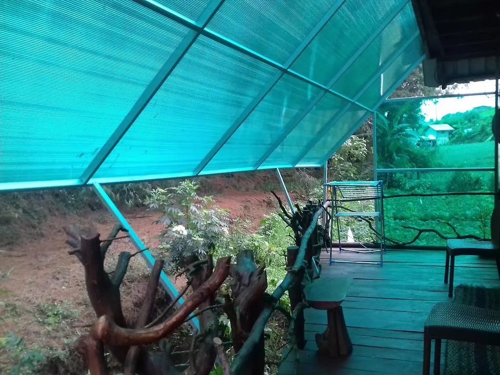 Moon Plains Forest Log Nuwara Eliya