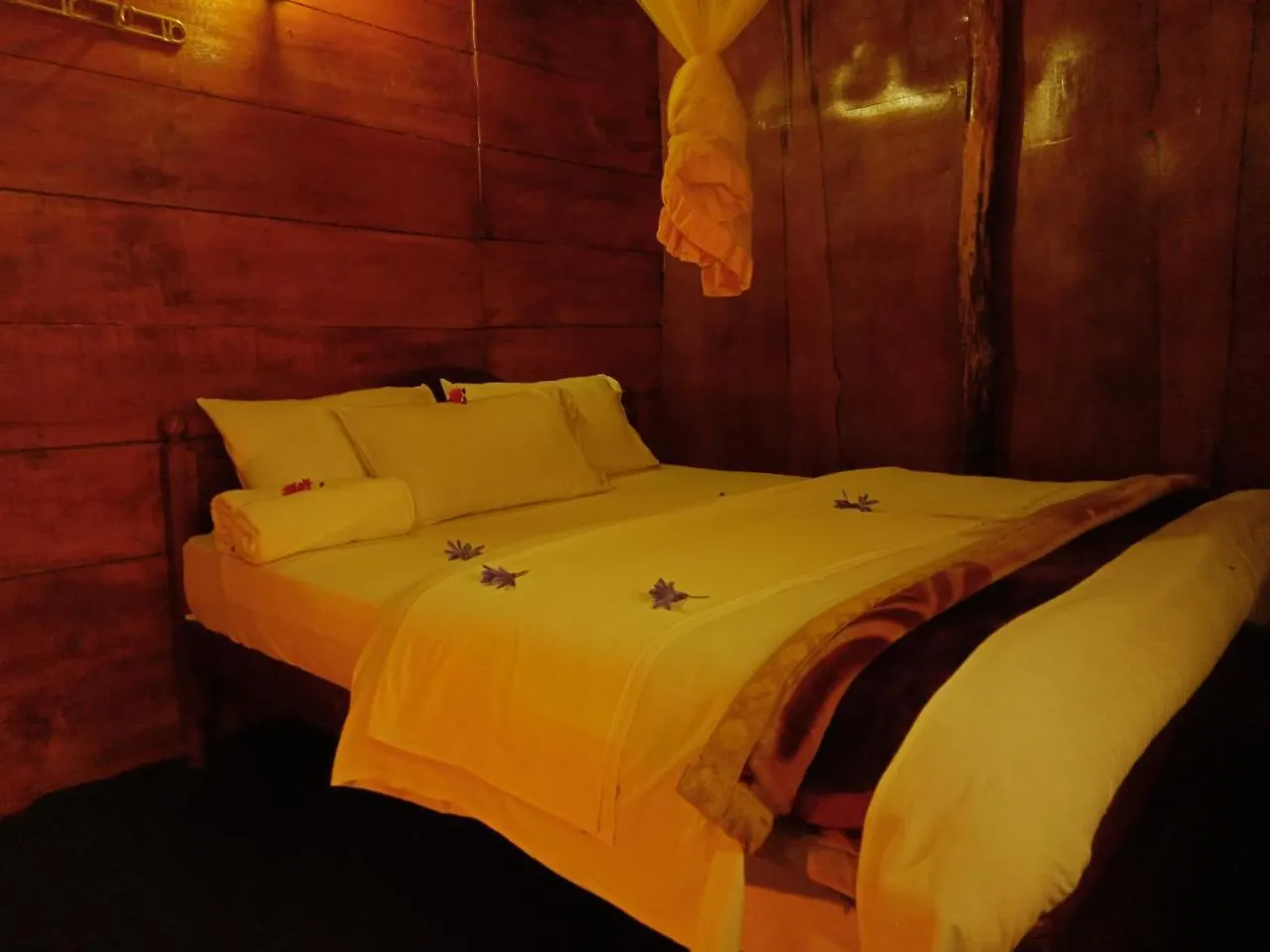 Chalet Moon Plains Forest Log Nuwara Eliya Sri Lanka